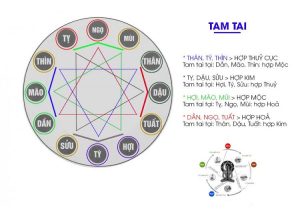 cach tinh tam tai